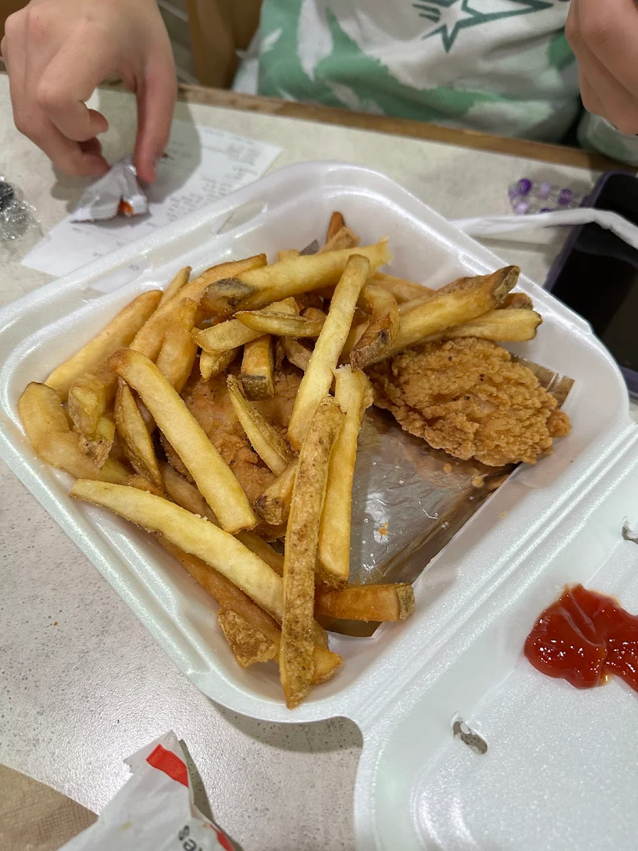 Chicken Strips and Fries