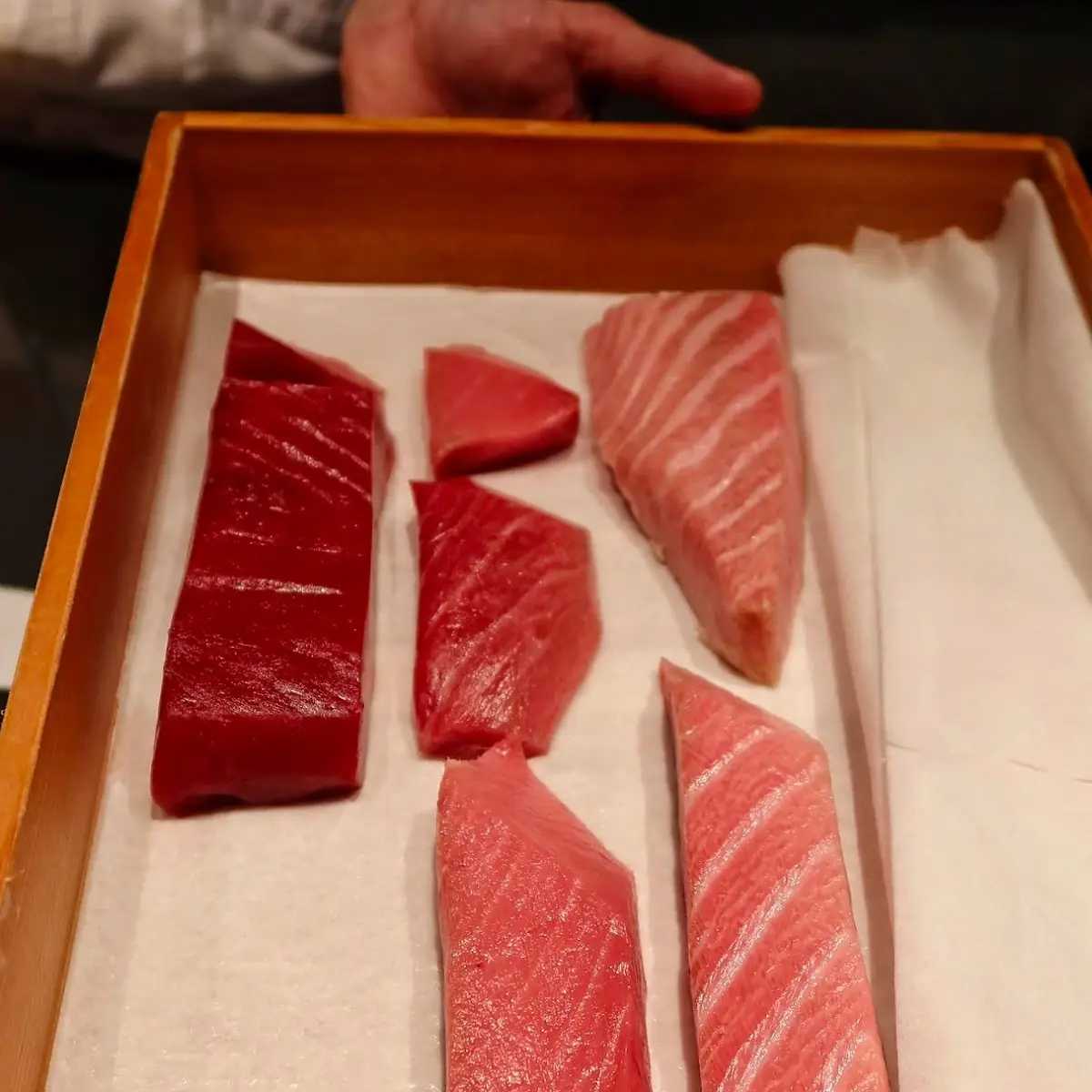 Bluefin Tuna