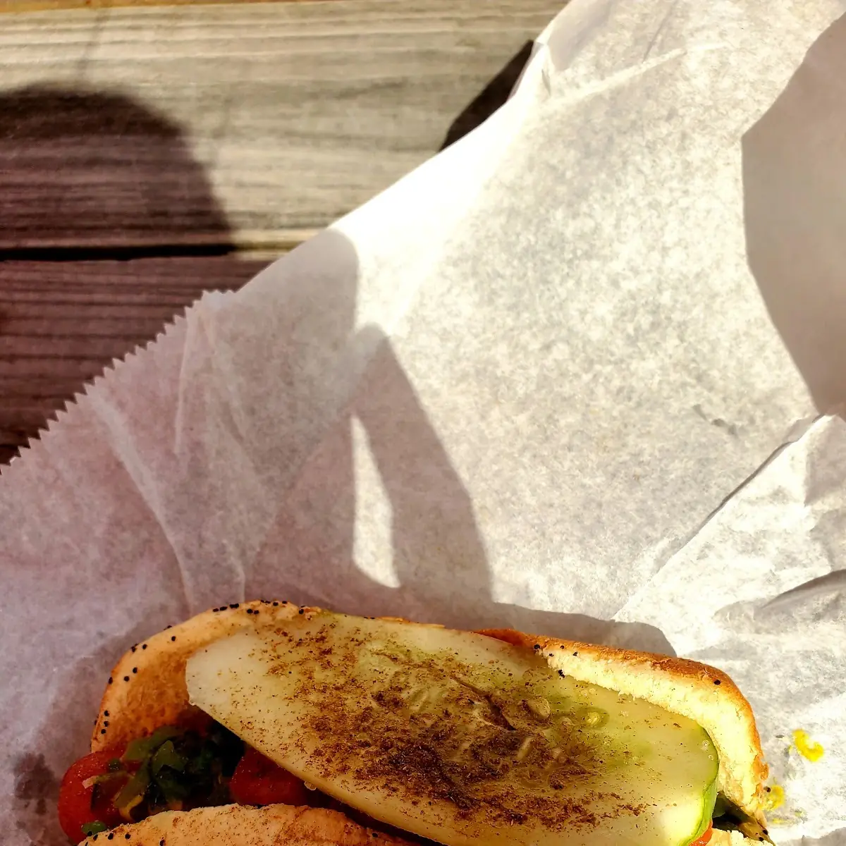 Chicago Style Hotdog
