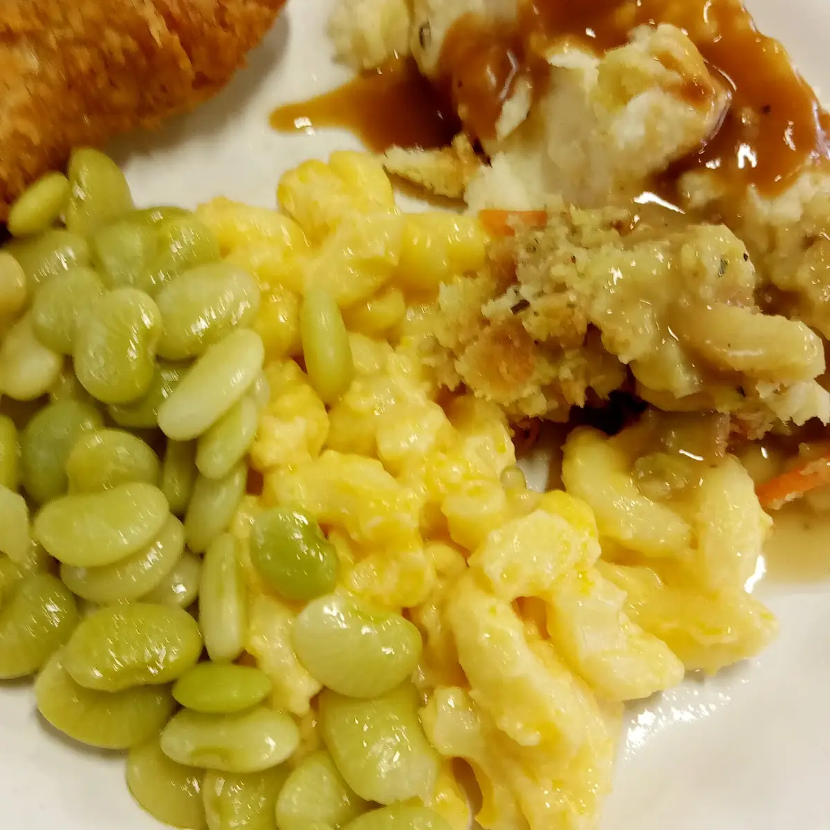 Fried Chicken and Dressing