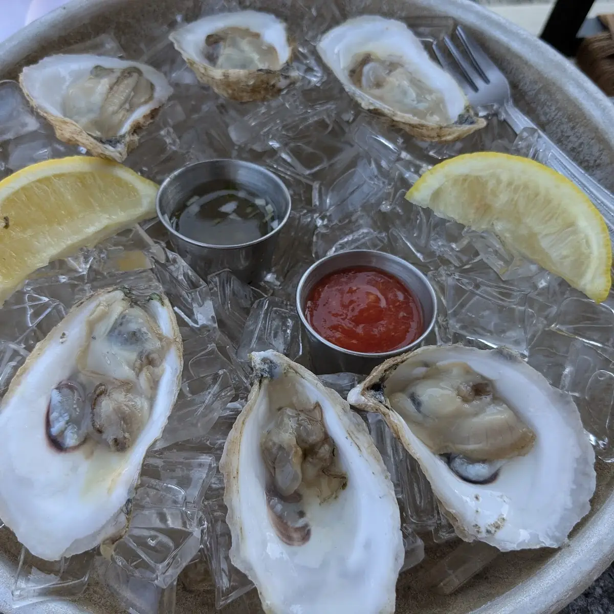 Raw Oysters on the Half Shell