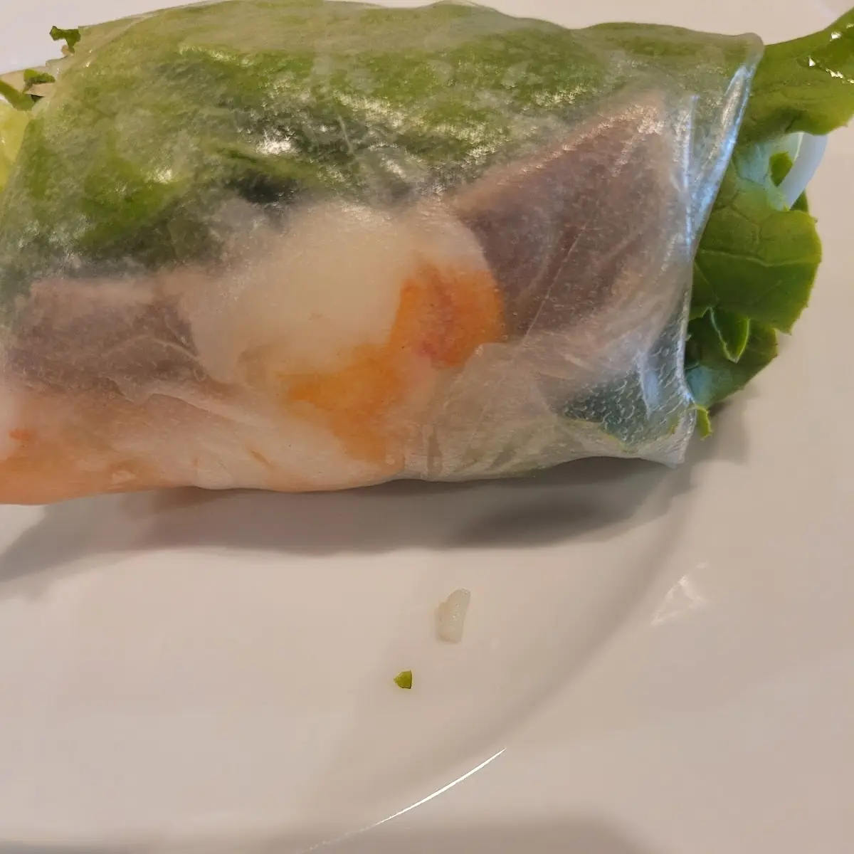 Salmon Roll