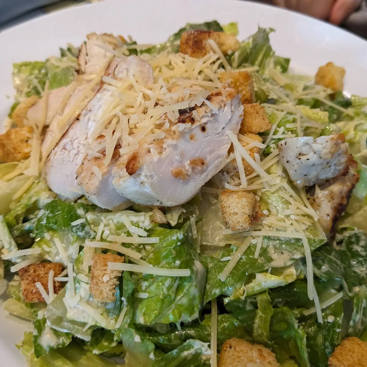 Chicken Caesar Salad