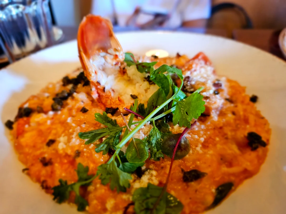 That Is the Only Tiny Lobster Tail Amatriciana, Trattoria Gusto
