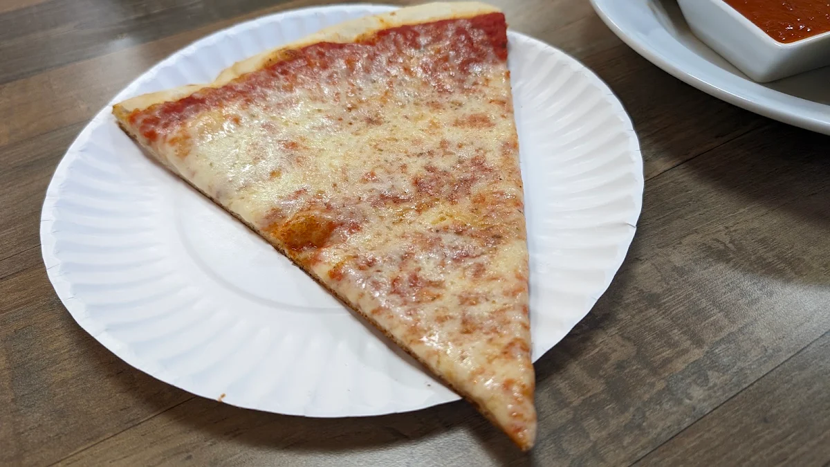 Plain Pizza Slice