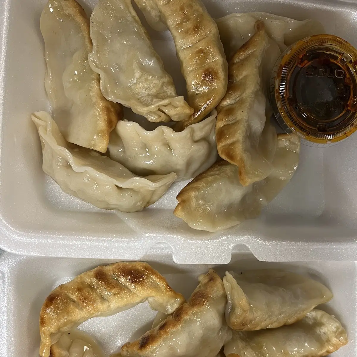 Fried or Steamed Dumplings