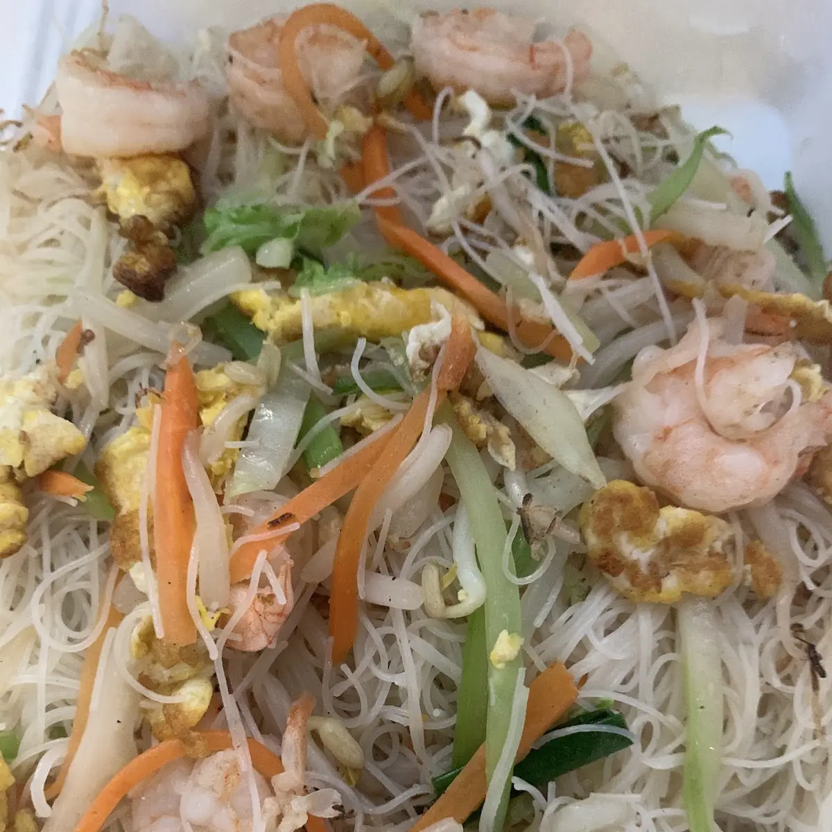 Shrimp or Beef Mai Fun