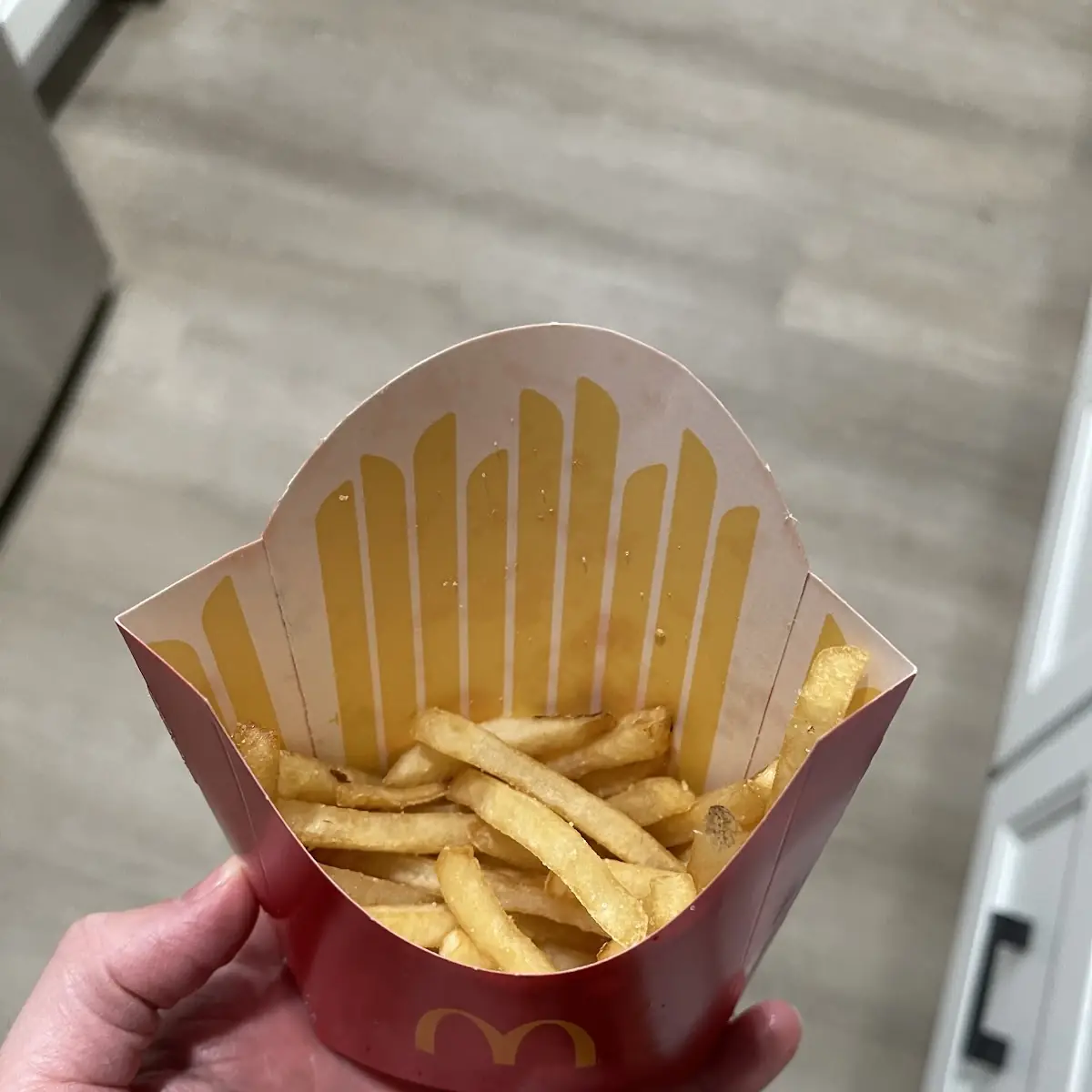 Medium Fries
