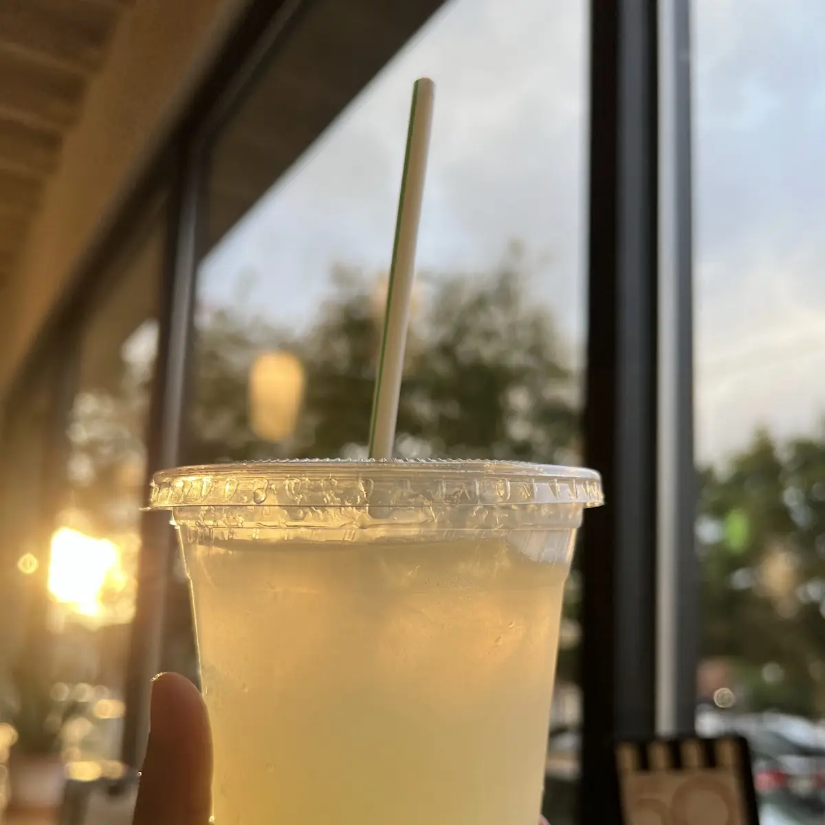 Fresh Squeezed Lemonade