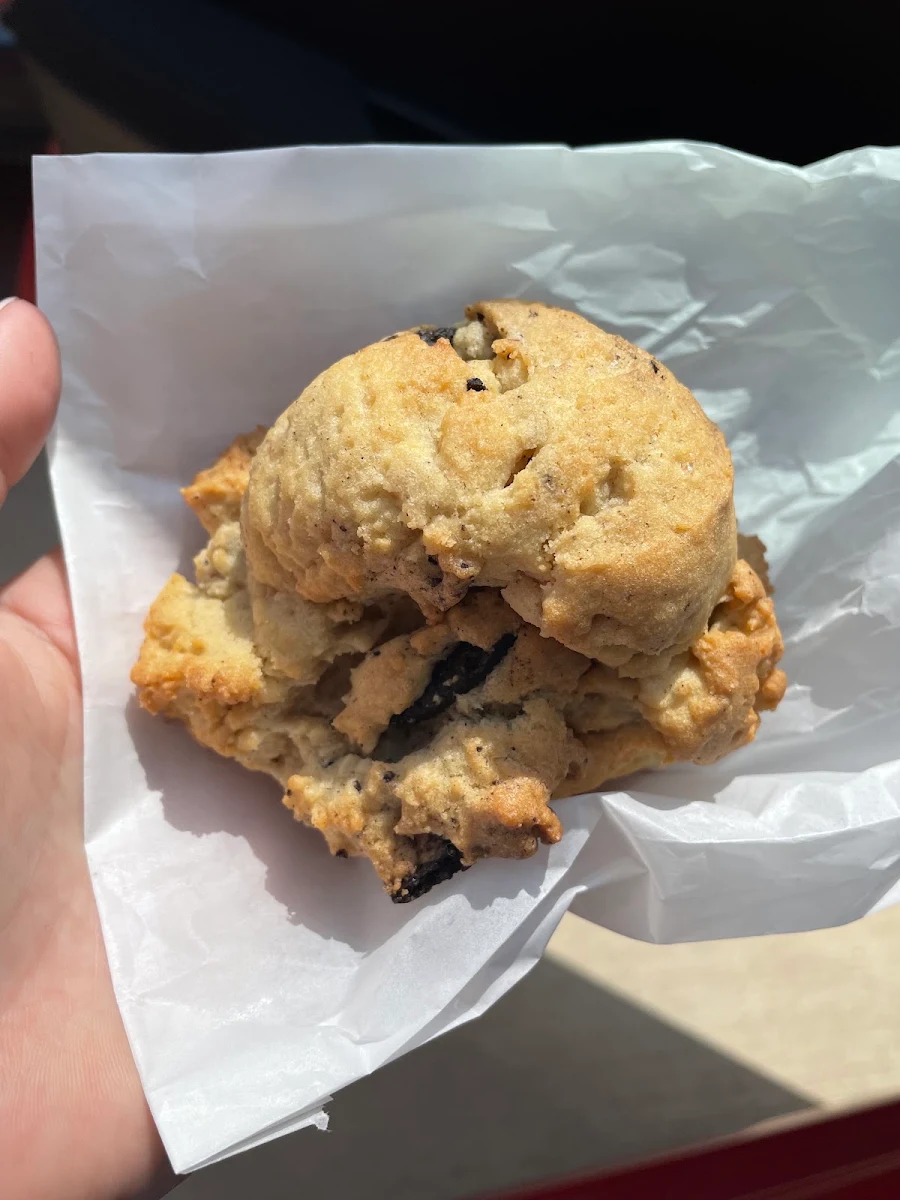Blueberry Muffin