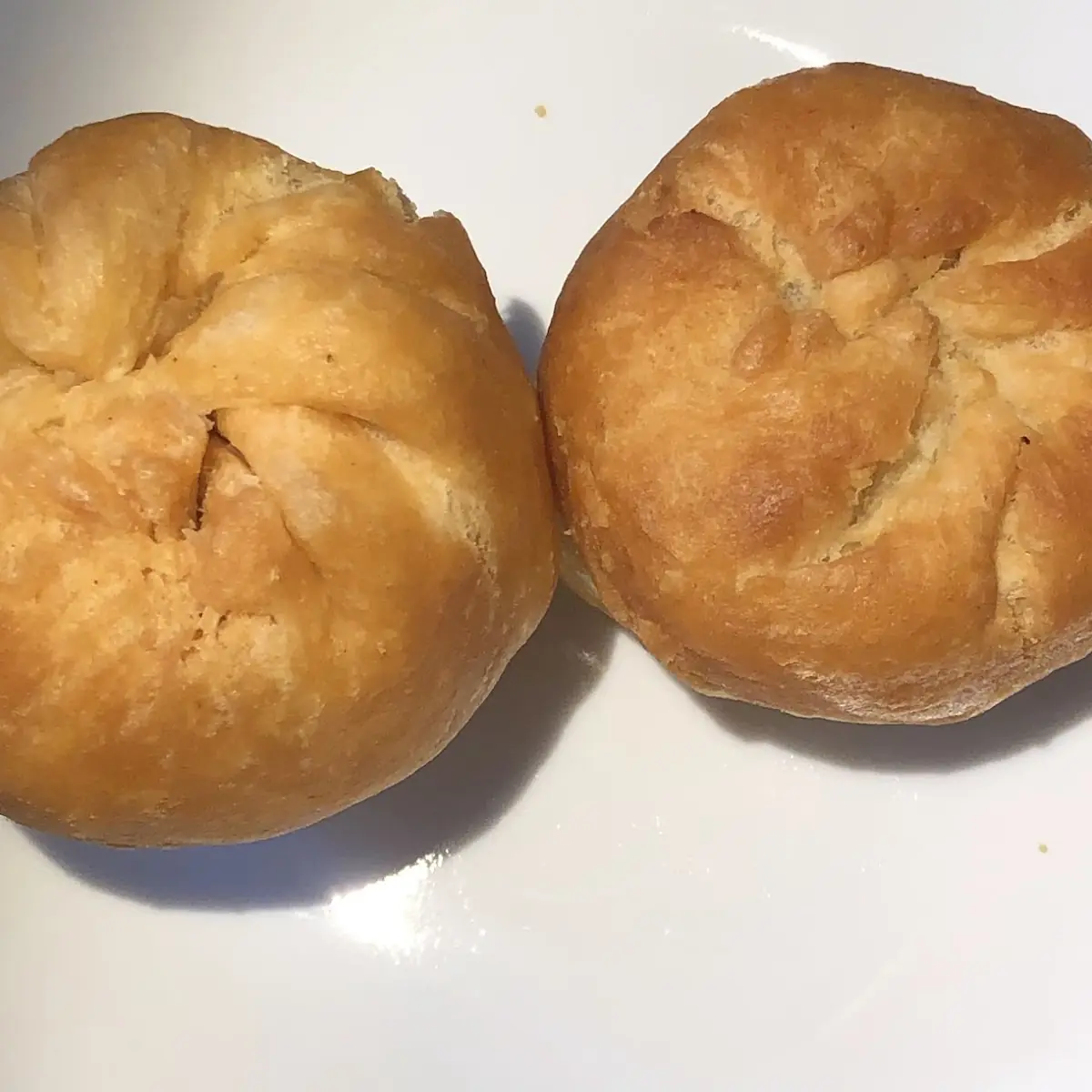 Fried Dumplings