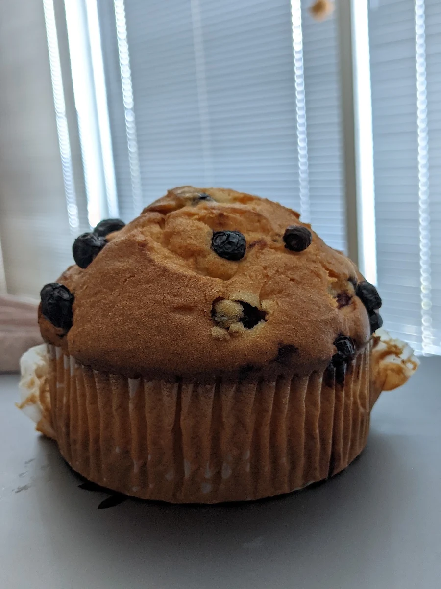 Blueberry Muffin