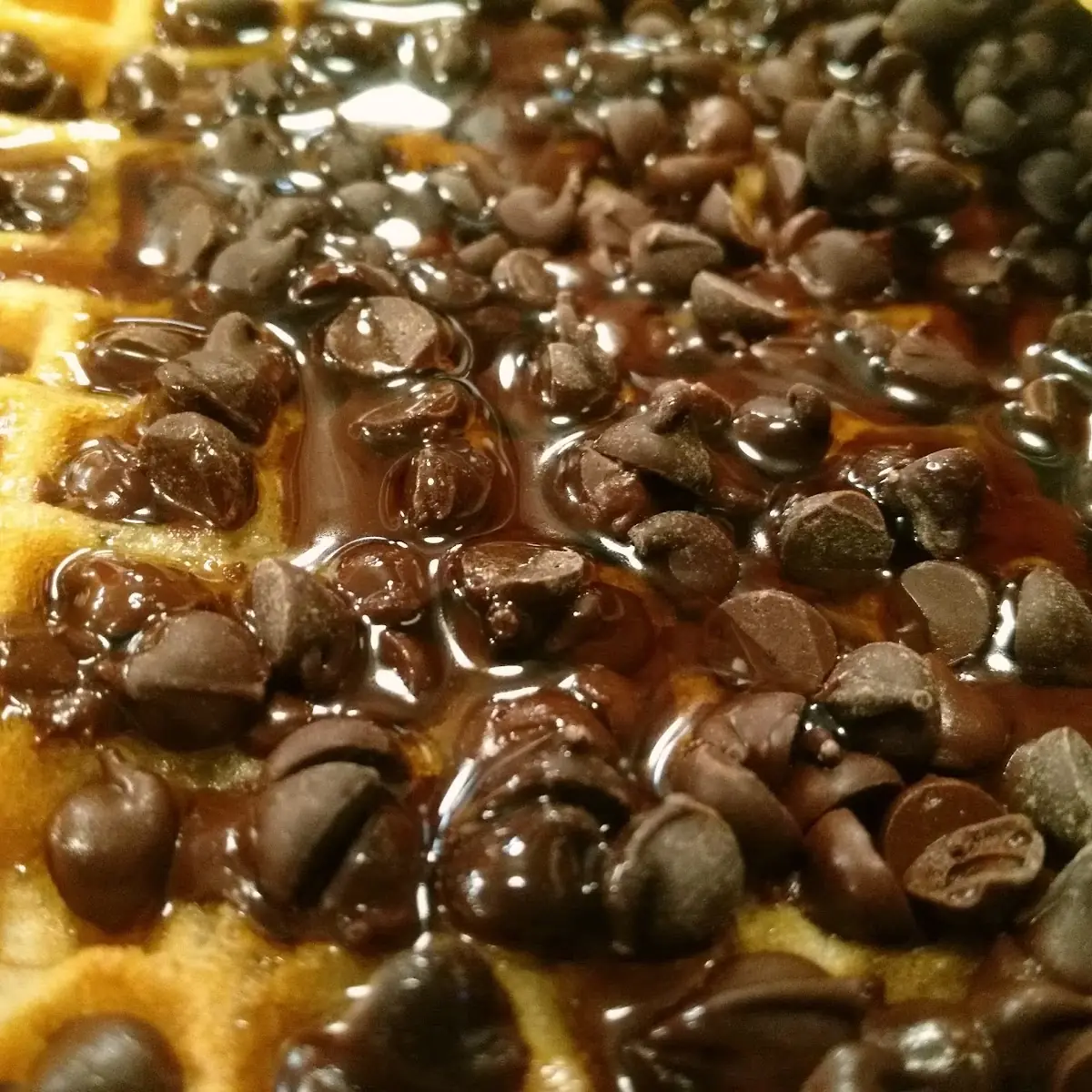 Chocolate Chip Waffle