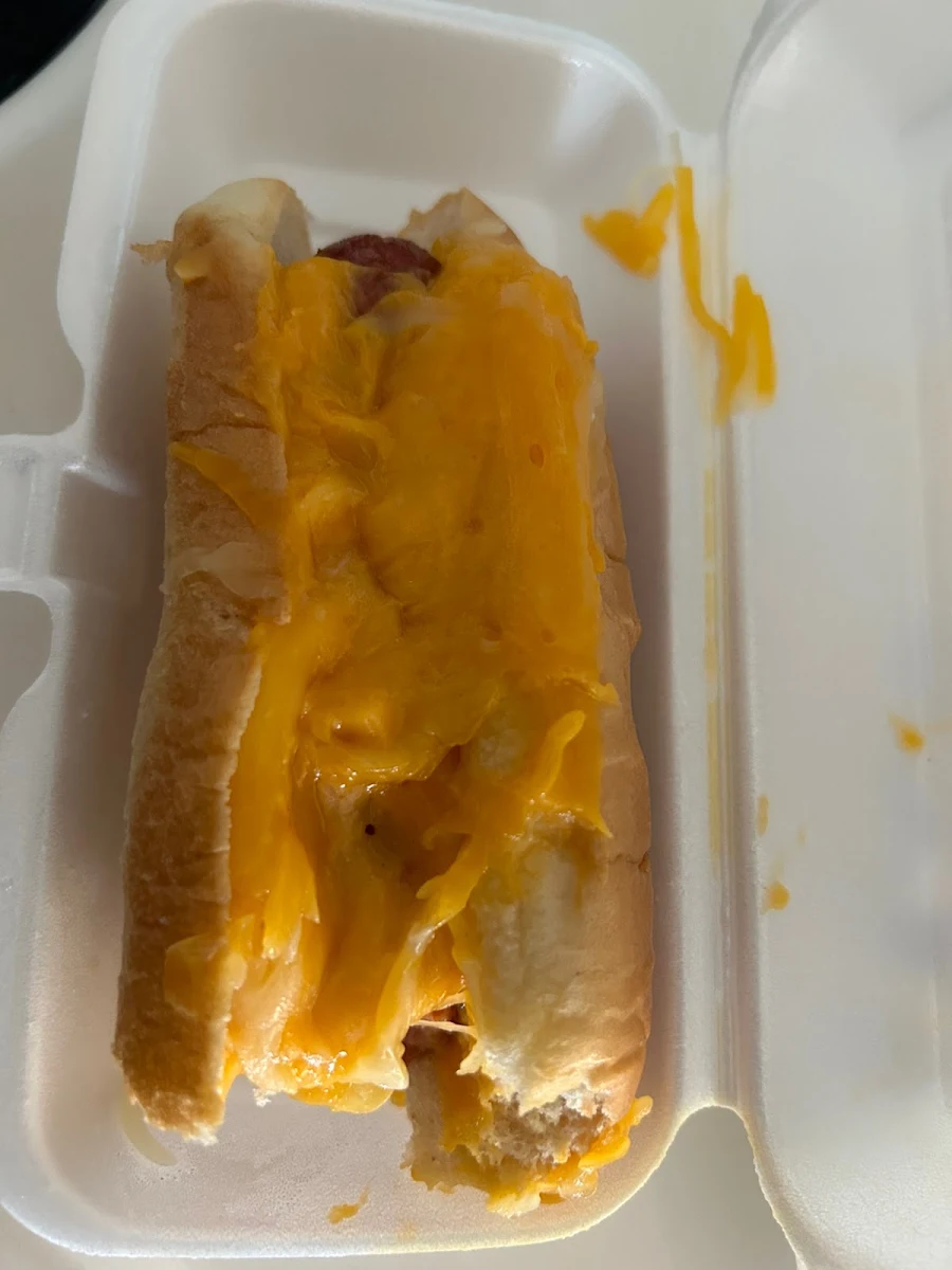 Chili Cheese Dog