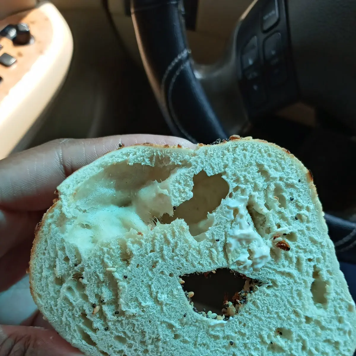 Everything Bagel