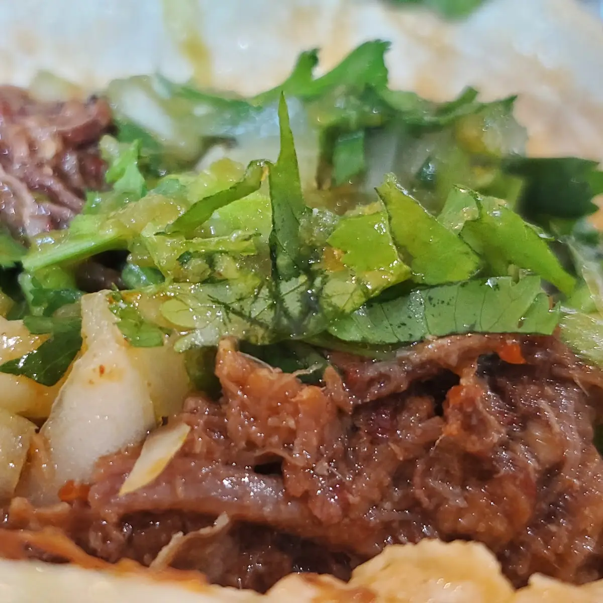 Tacos de Guisado