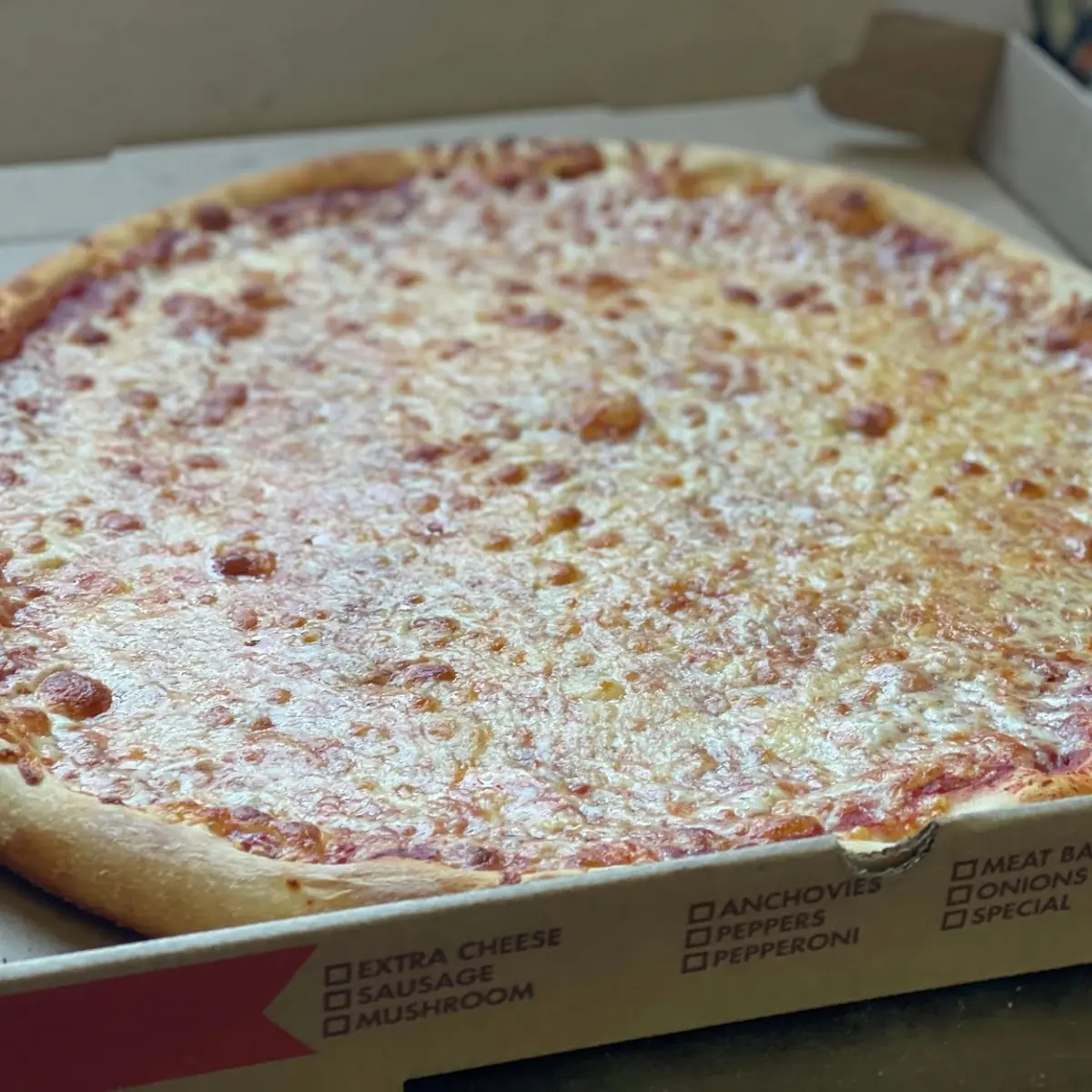 Cheese Pizza