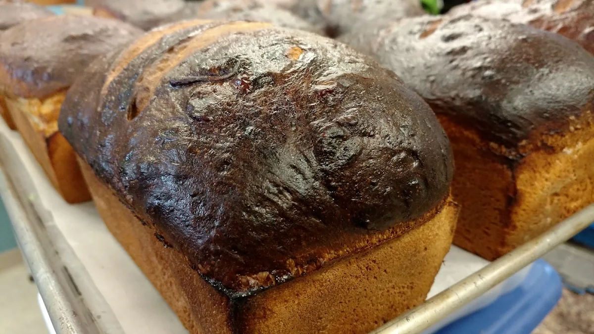 Sour Dough Bread