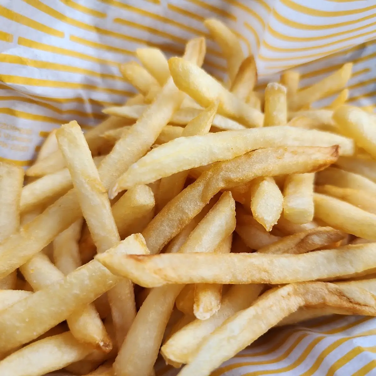World Famous Fries