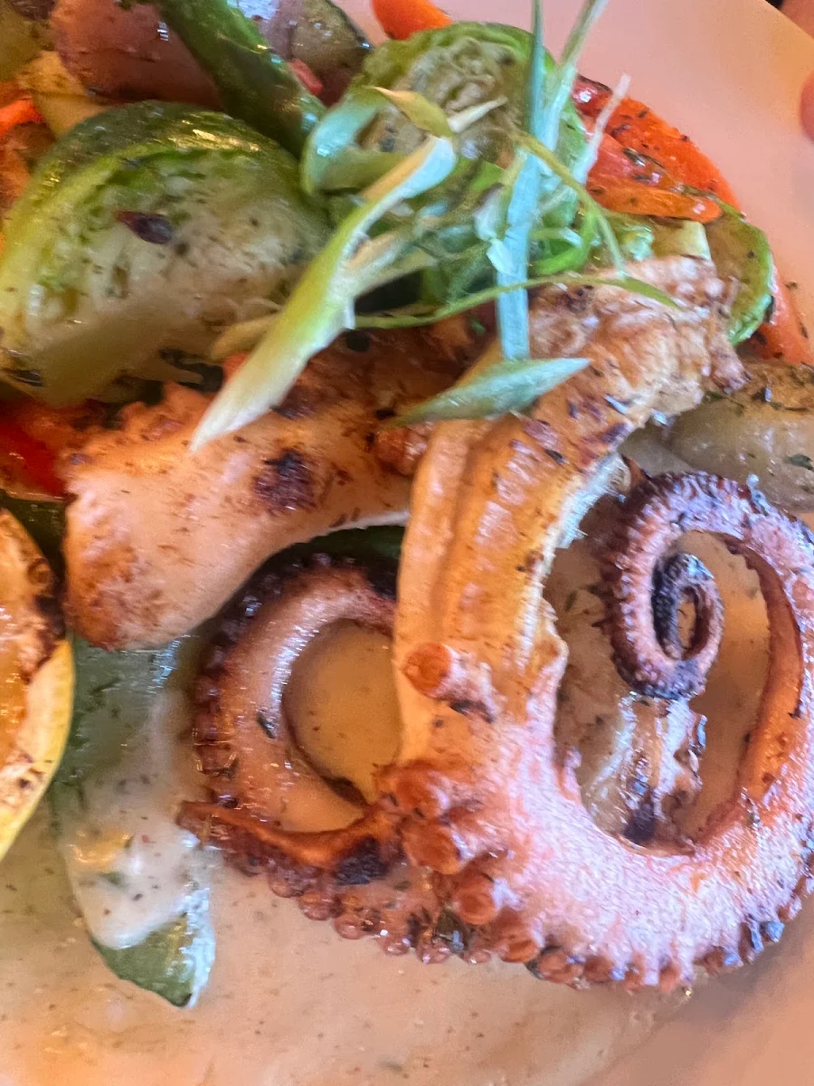 Moroccan Octopus