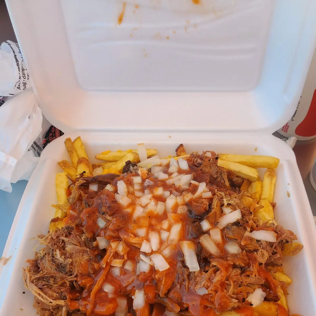 Loaded Fries