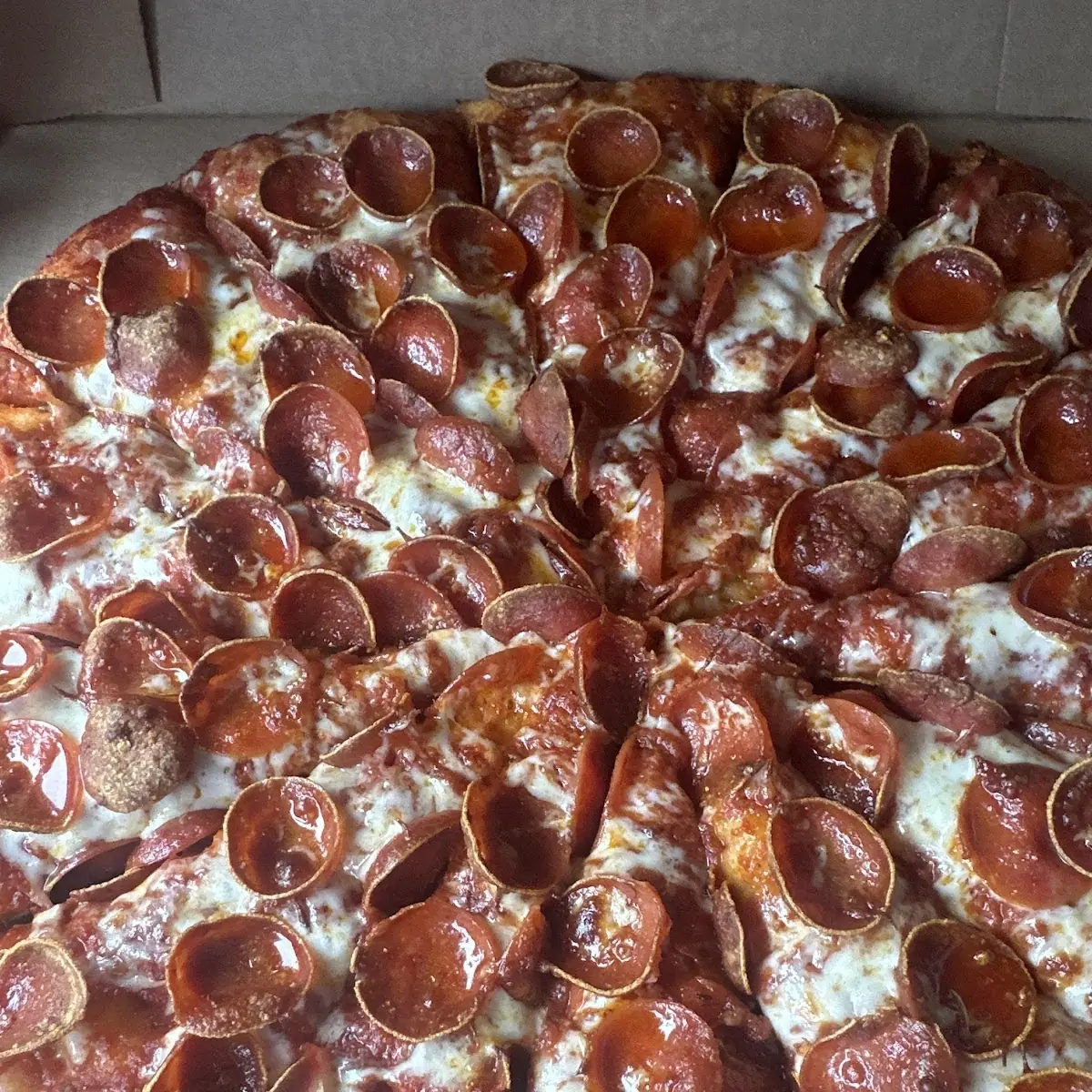 Halal Beef Pepperoni Pizza