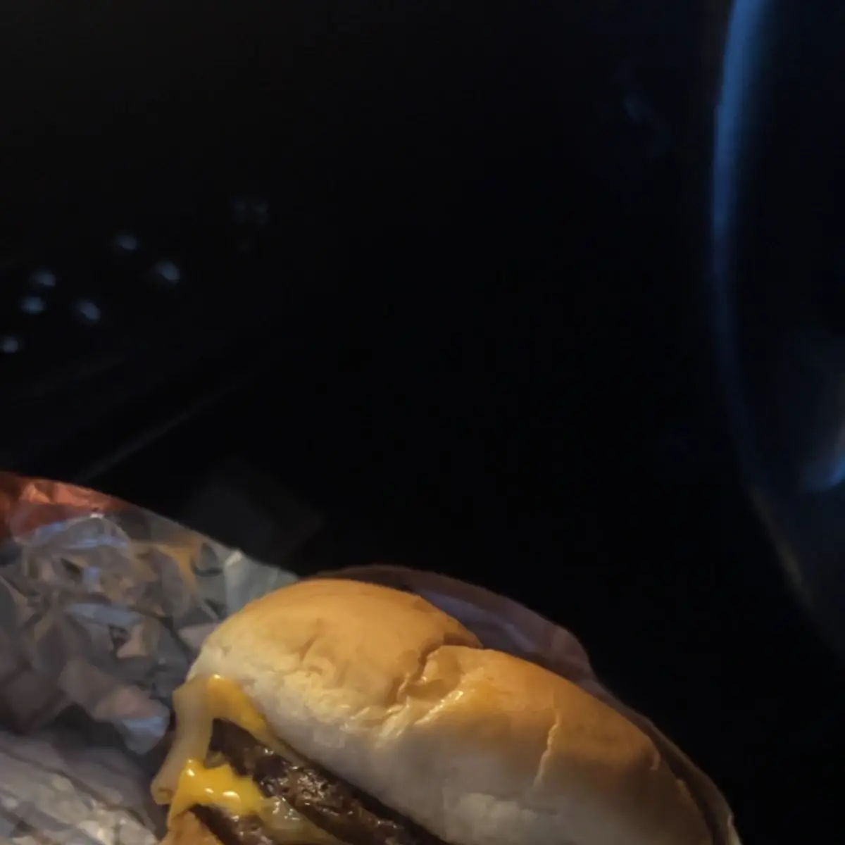 Double Cheese Burger