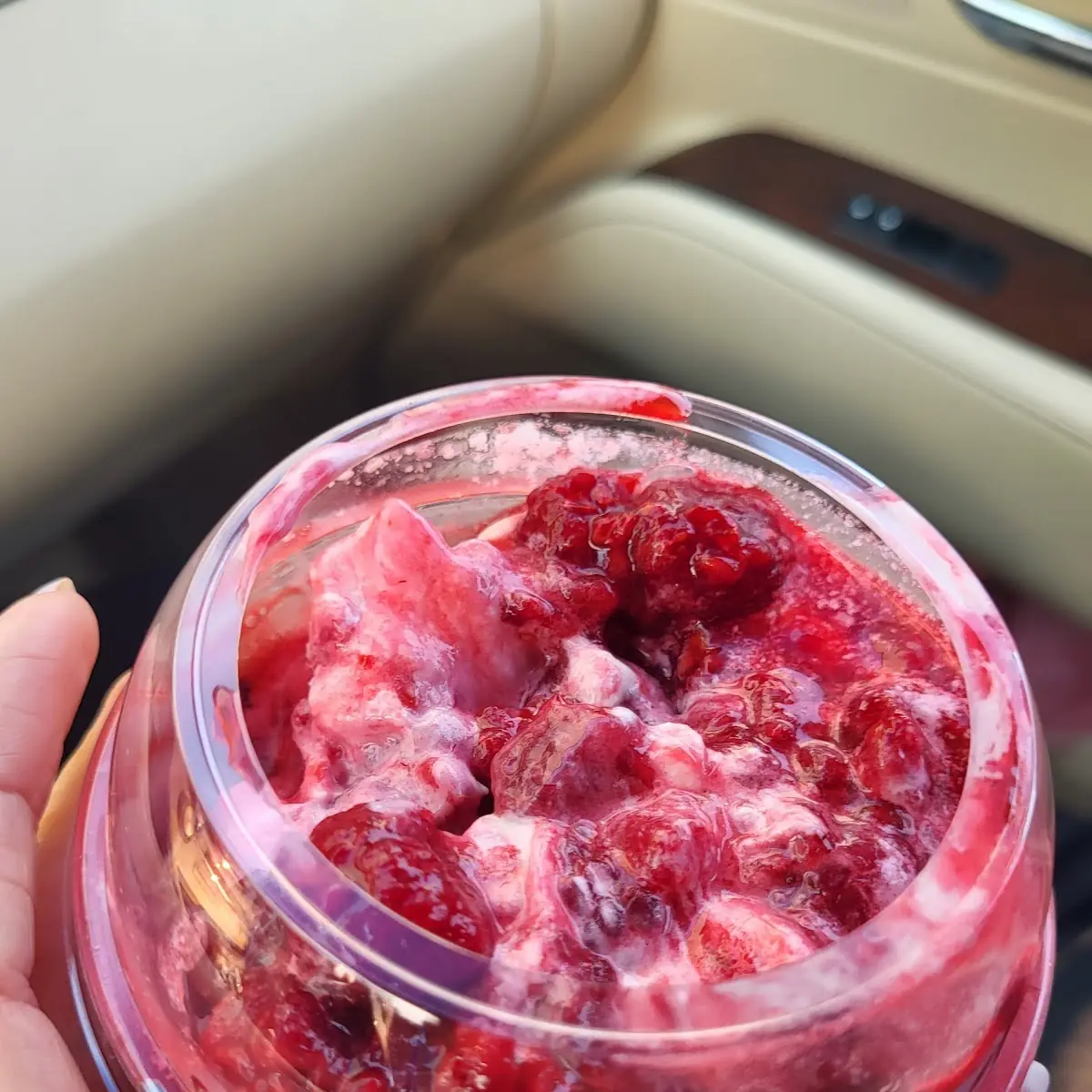 Raspberry Vanilla Ice Cream