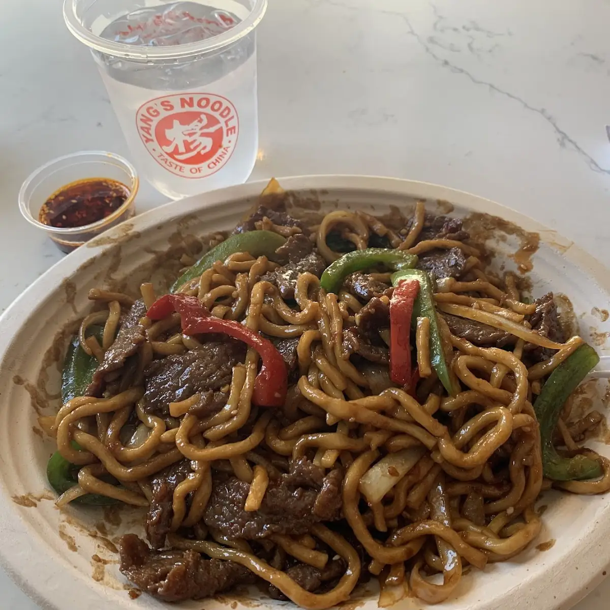 Stir Fried Noodles with Beef and Onion