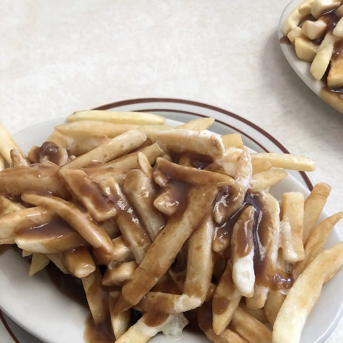 Fries with American Cheese and Gravy