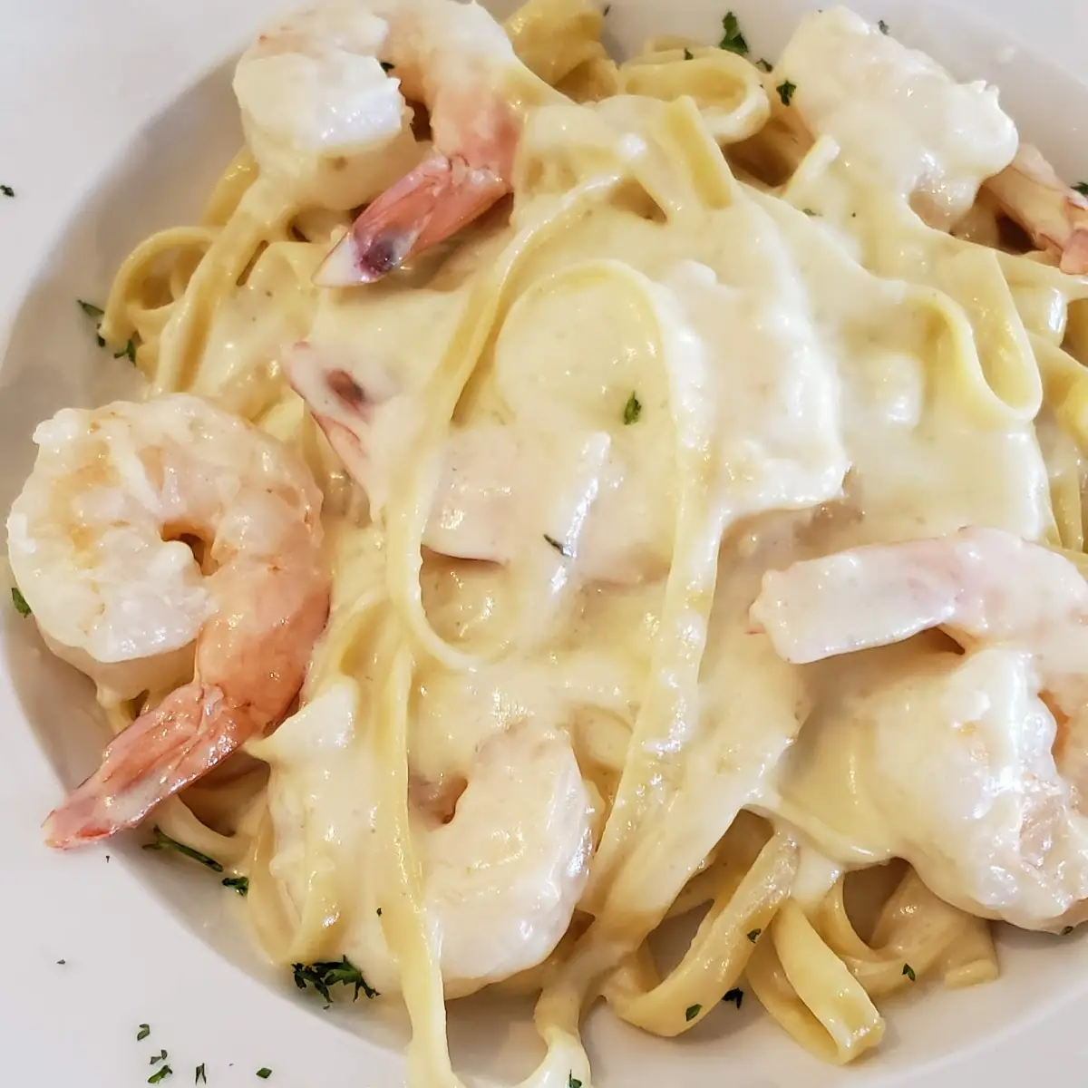 Shrimp Alfredo