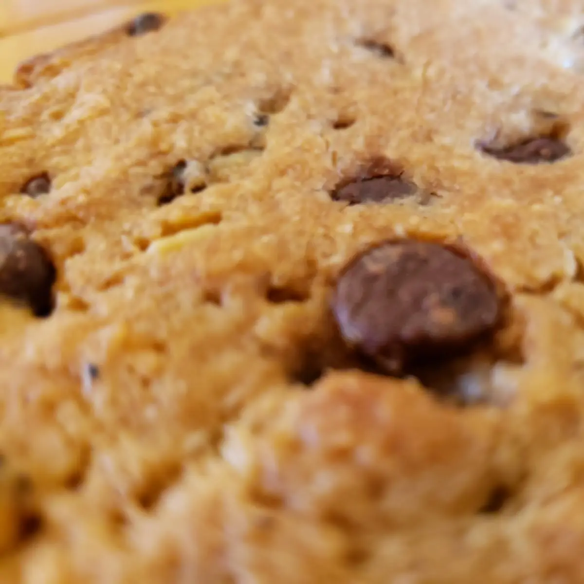 Chocolate Chip