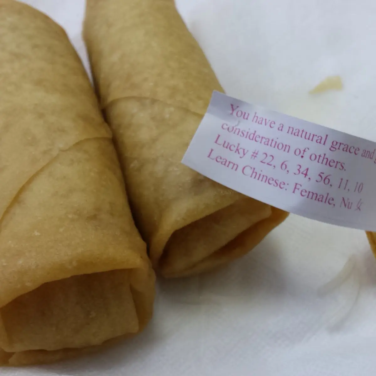 Fortune Cookies