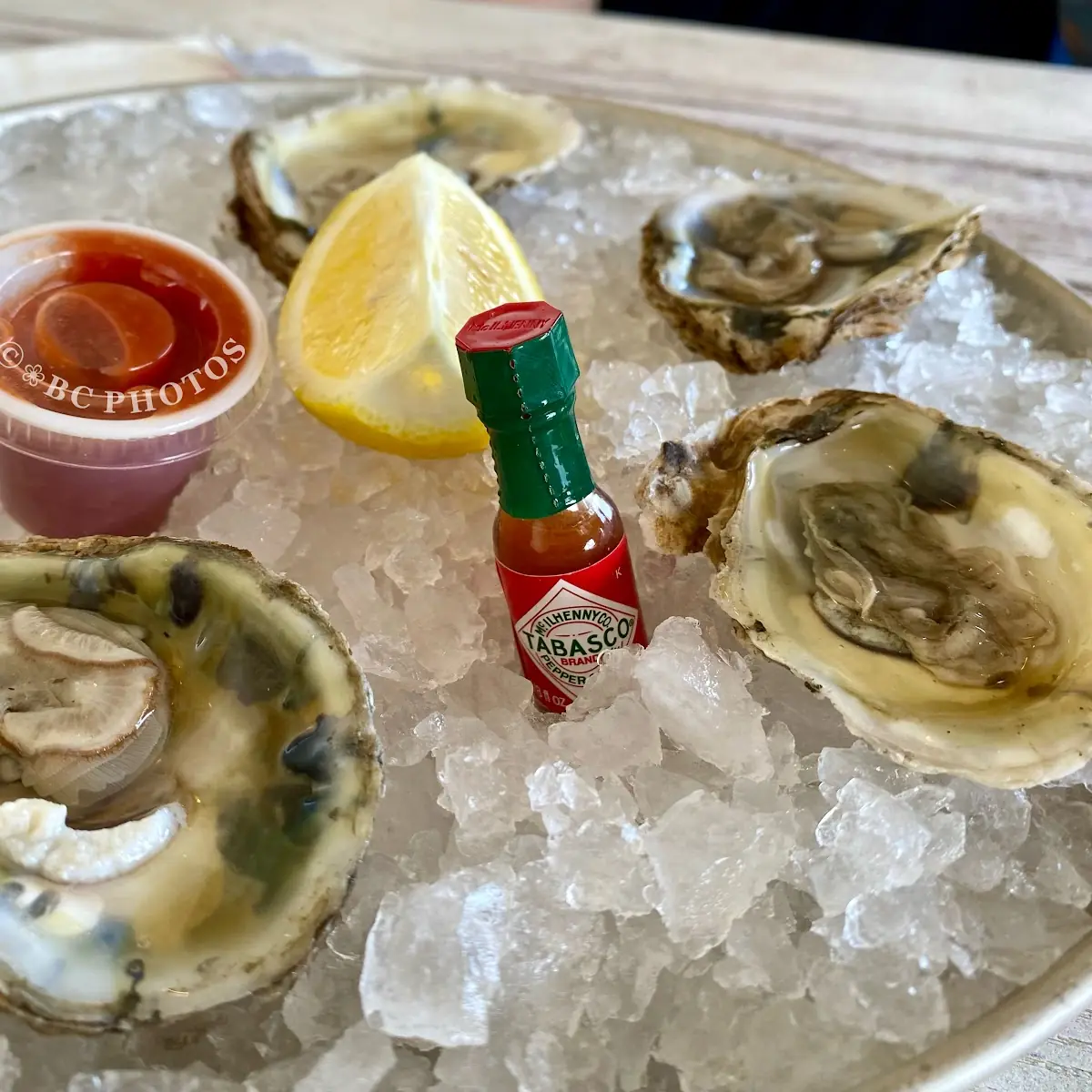 Fresh Oysters