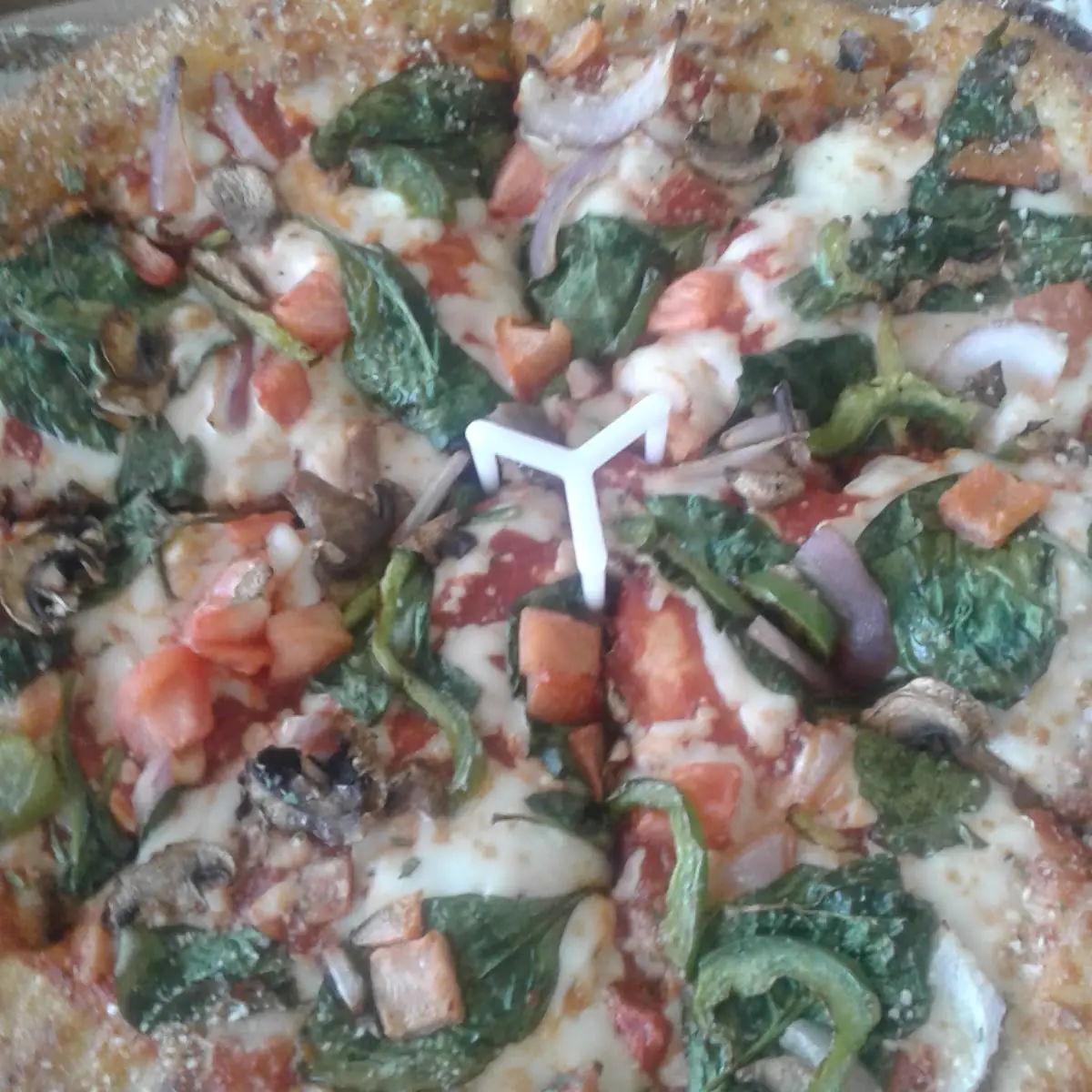 Veggie Pizza