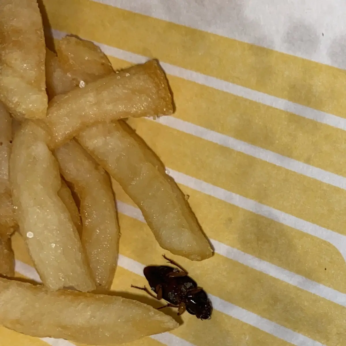 World Famous Fries