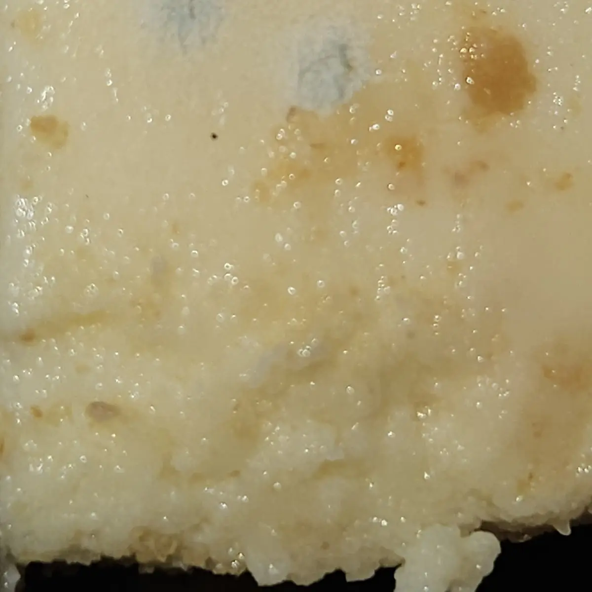 Moldy Cheese Cake
