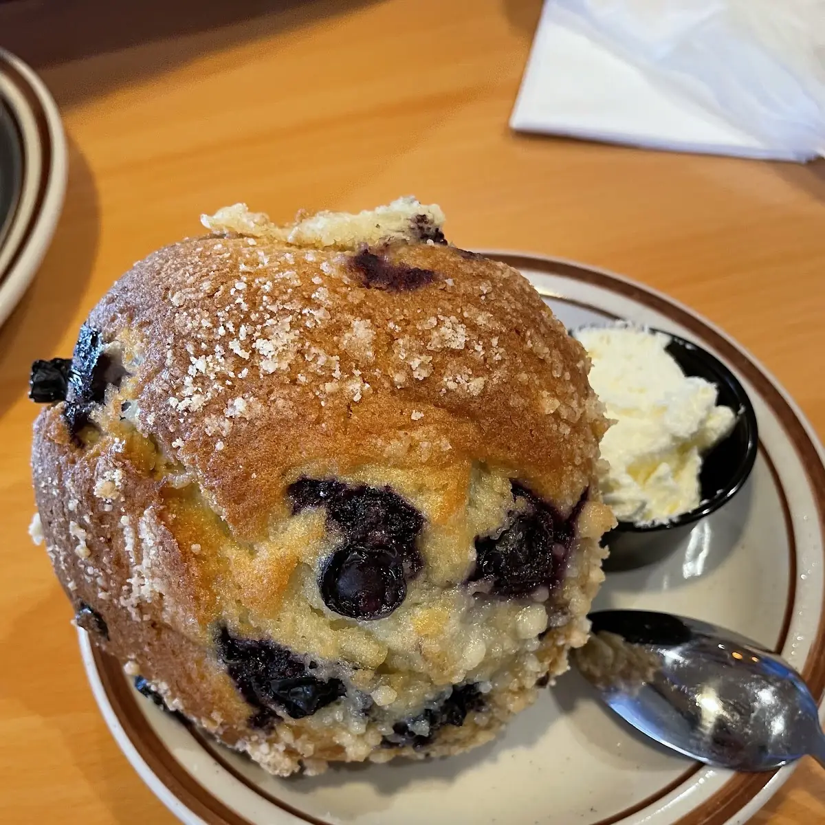 Huge Blueberry Muffin