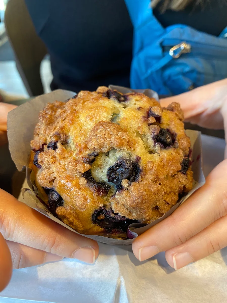 Blueberry Muffin Ve