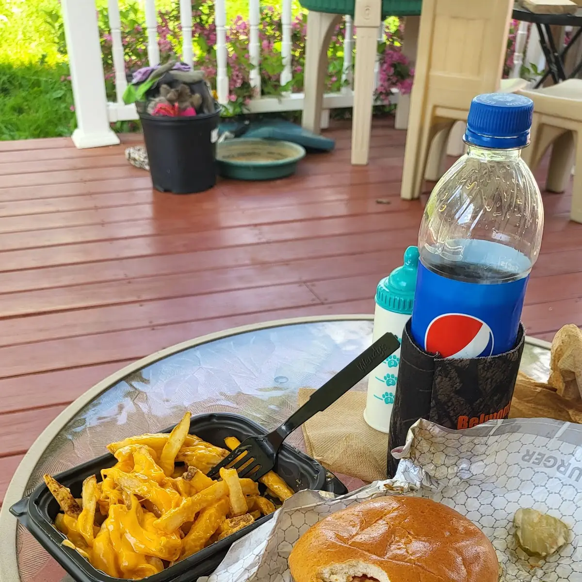 Double Cheeseburger and Cheese Fries