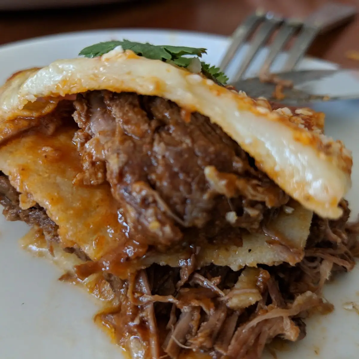 Short Rib Enchiladas
