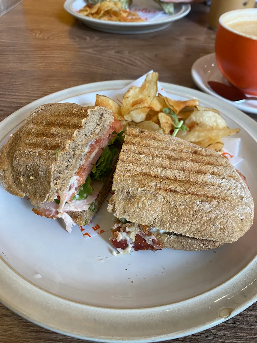 Club Panini, Samuel's Coffee House