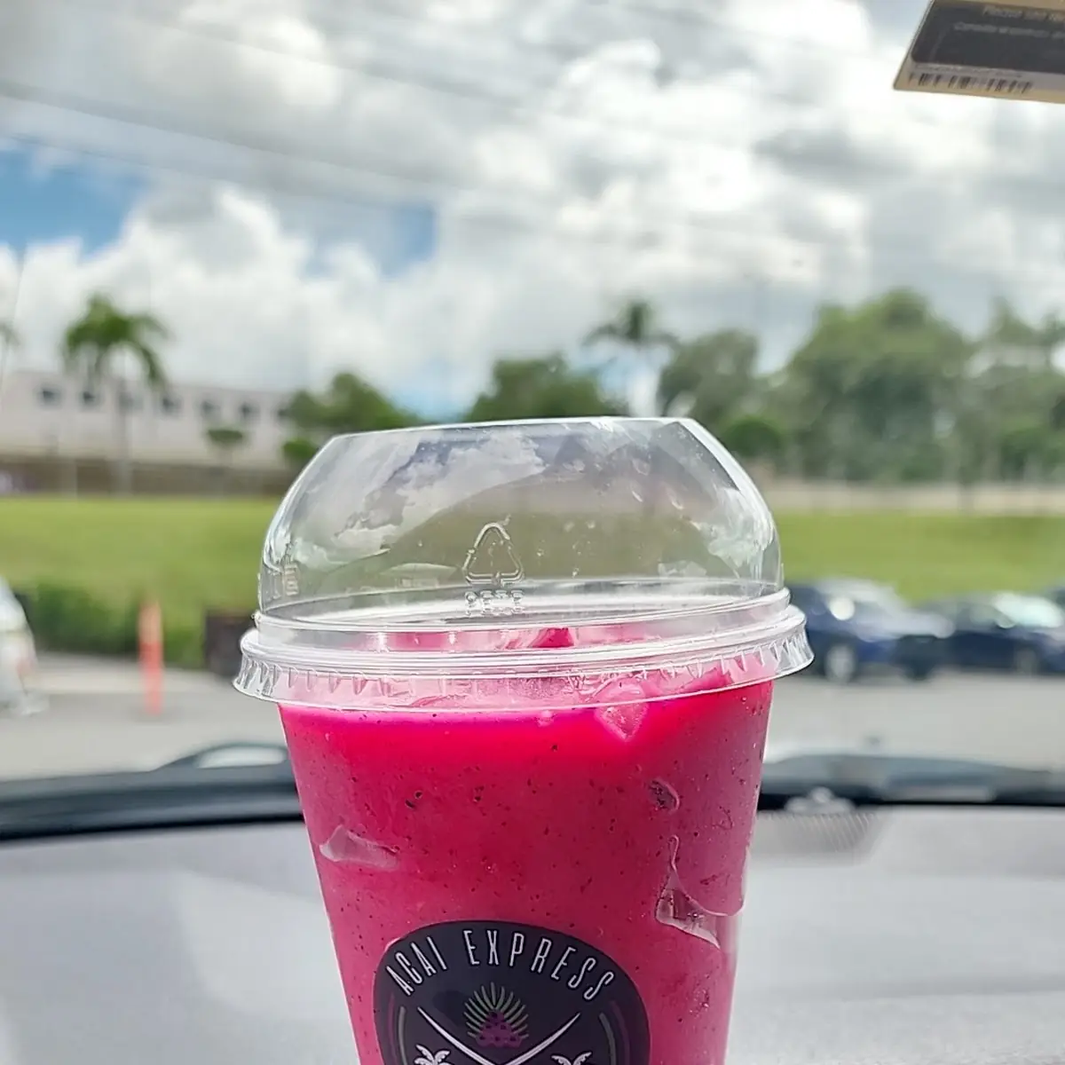 Passion Fruit Slush