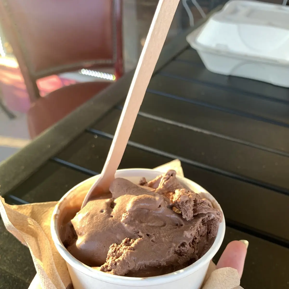 Chocolate Ice Cream