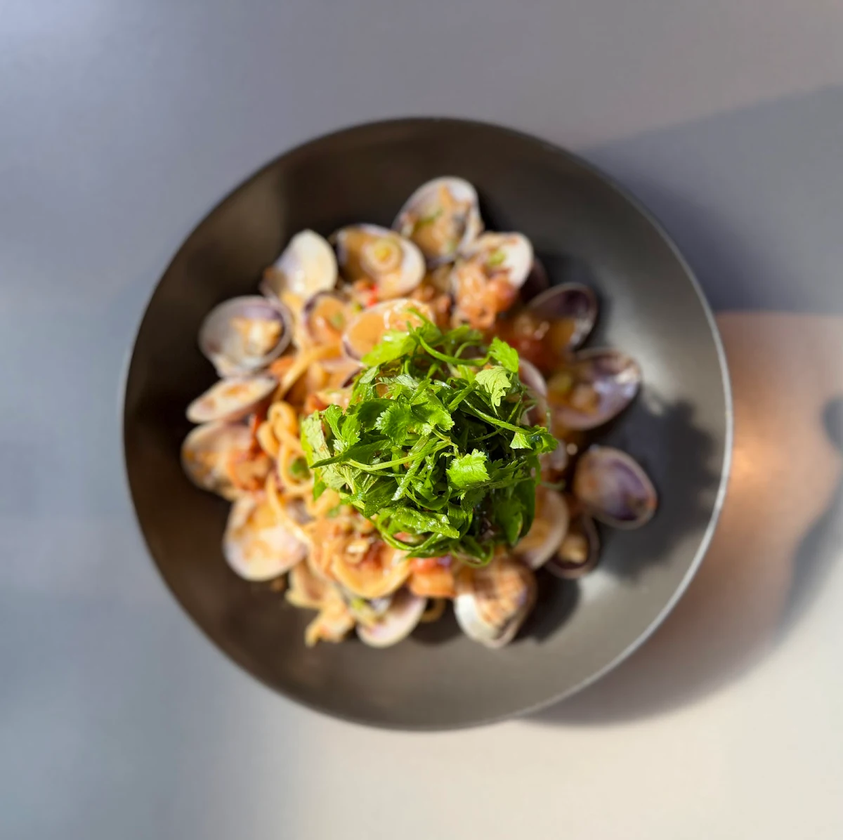 Clams
