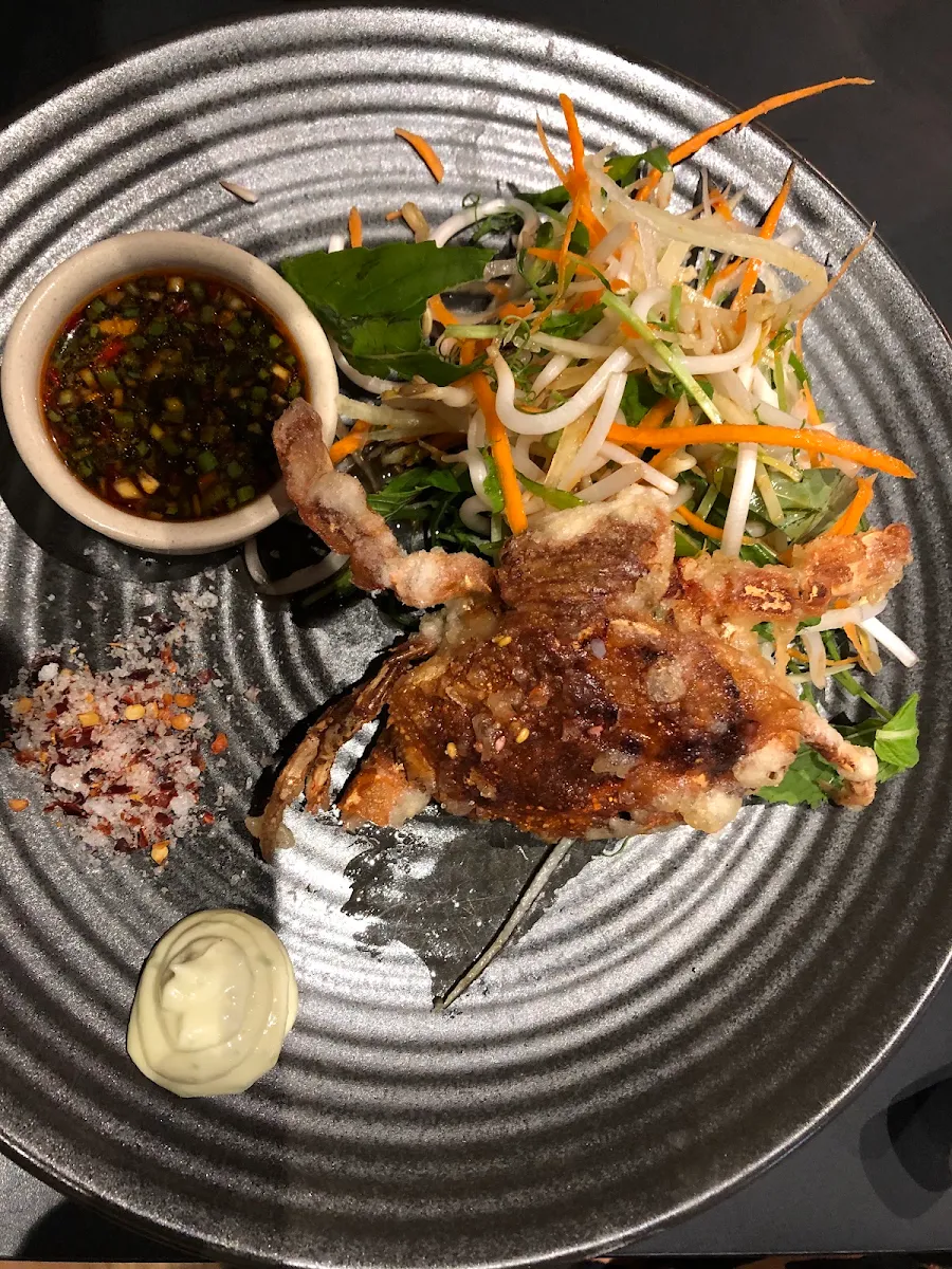 Sticky Plum & Sake Braised Duck Wings