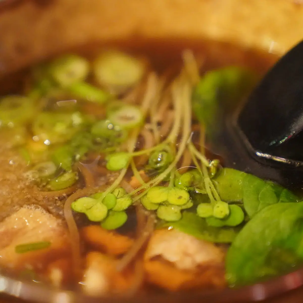 Miso Soup