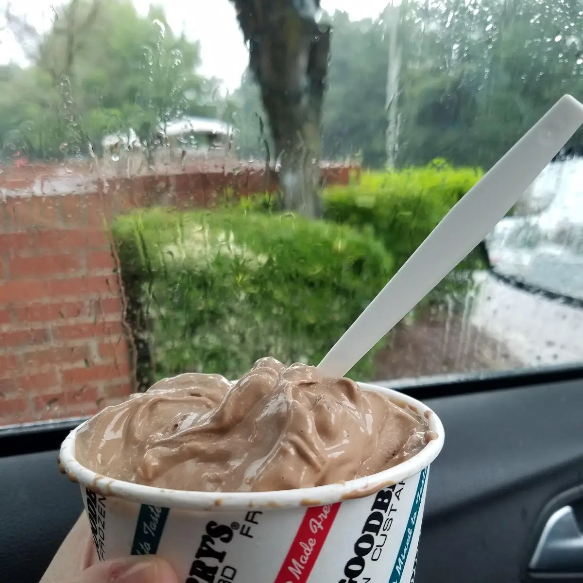 Chocolate Custard with Wet Walnuts