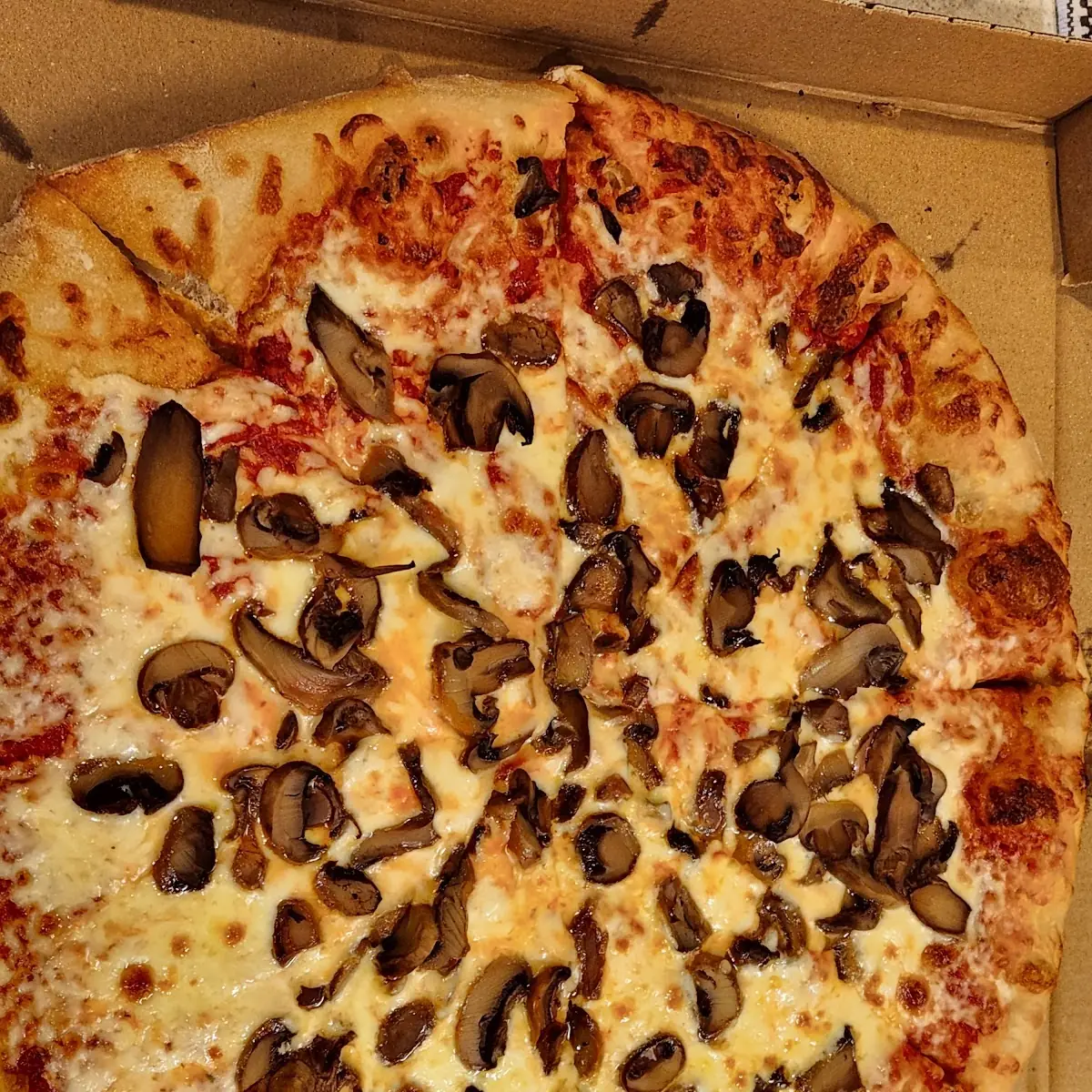 Large Cheese & Mushroom Pizza