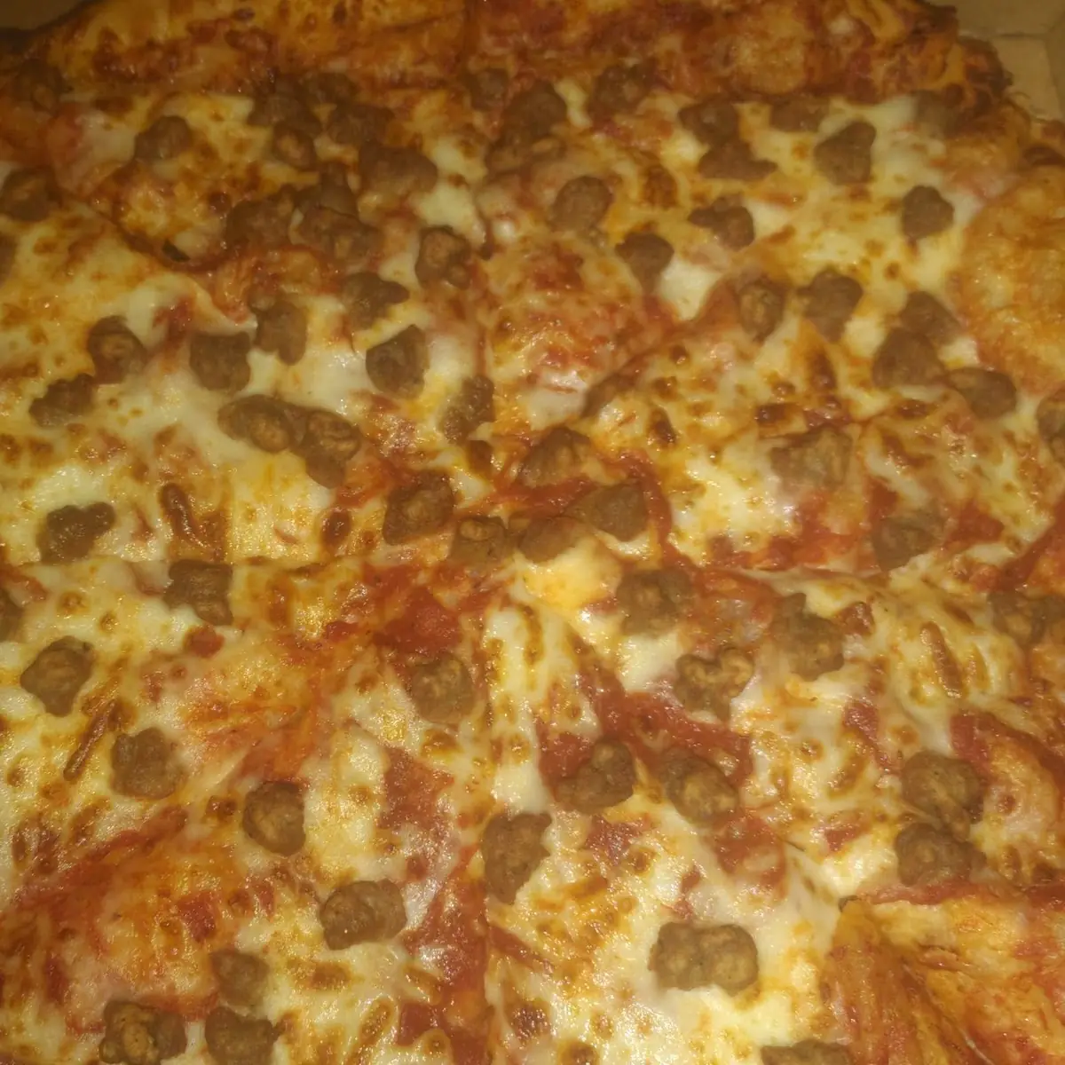 Burger and Cheese Pizza